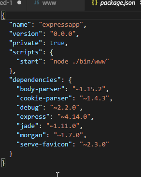 expressapp-packagejson